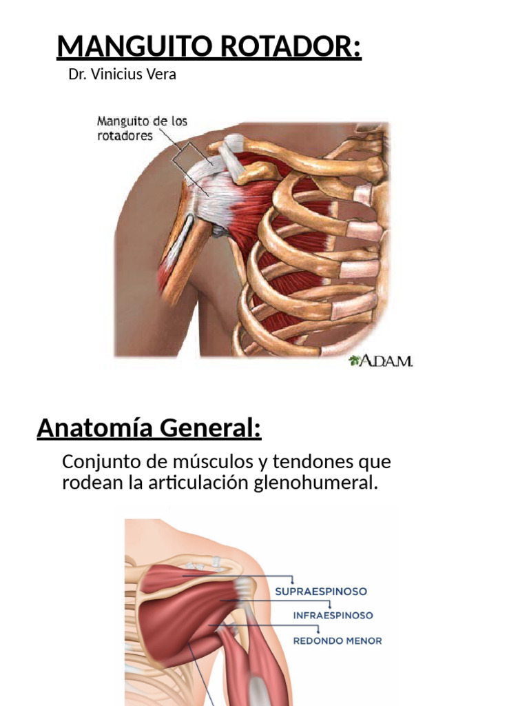 Lesiones del Manguito Rotador: Diagnóstico y Tratamiento | PDF | Hombro ...