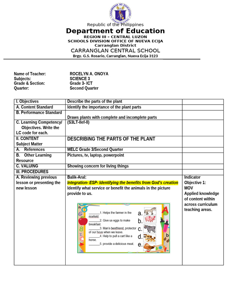 Teaching Plant Parts for Grade 3 Science | PDF | Plants | Botany