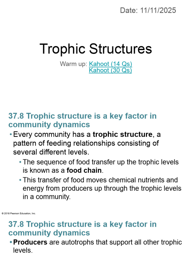 Communities and Ecosystems Lesson 2 - Trophic Structures | PDF | Food ...