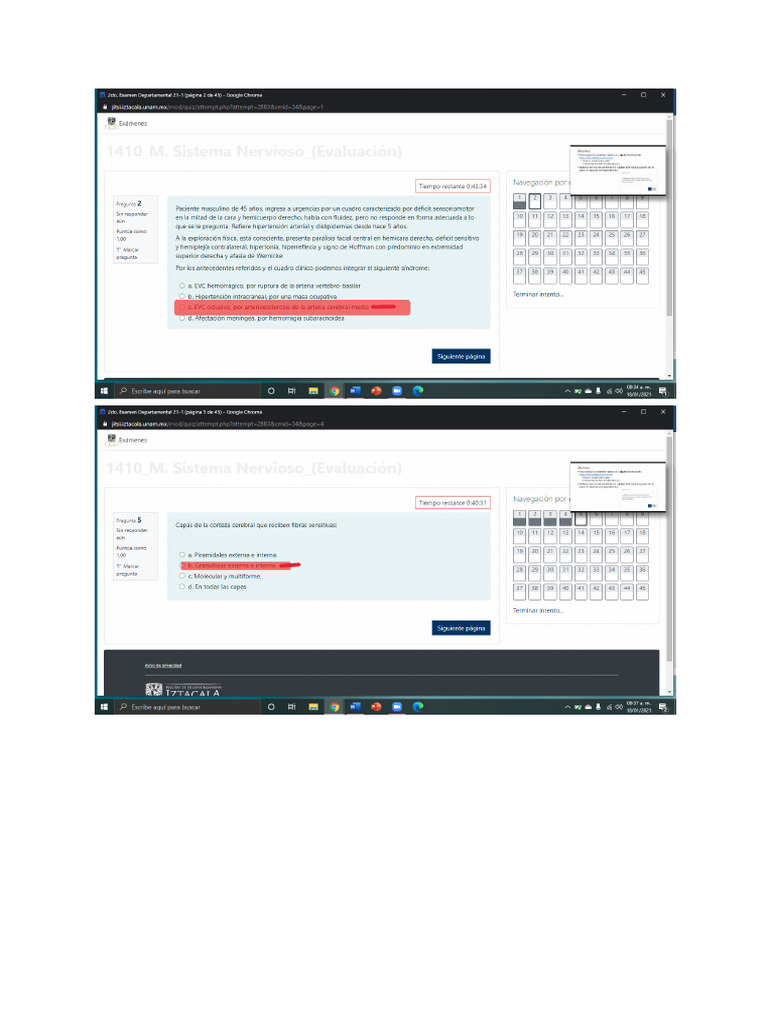 Depa Nervio-1 - 250509 - 090857 | PDF