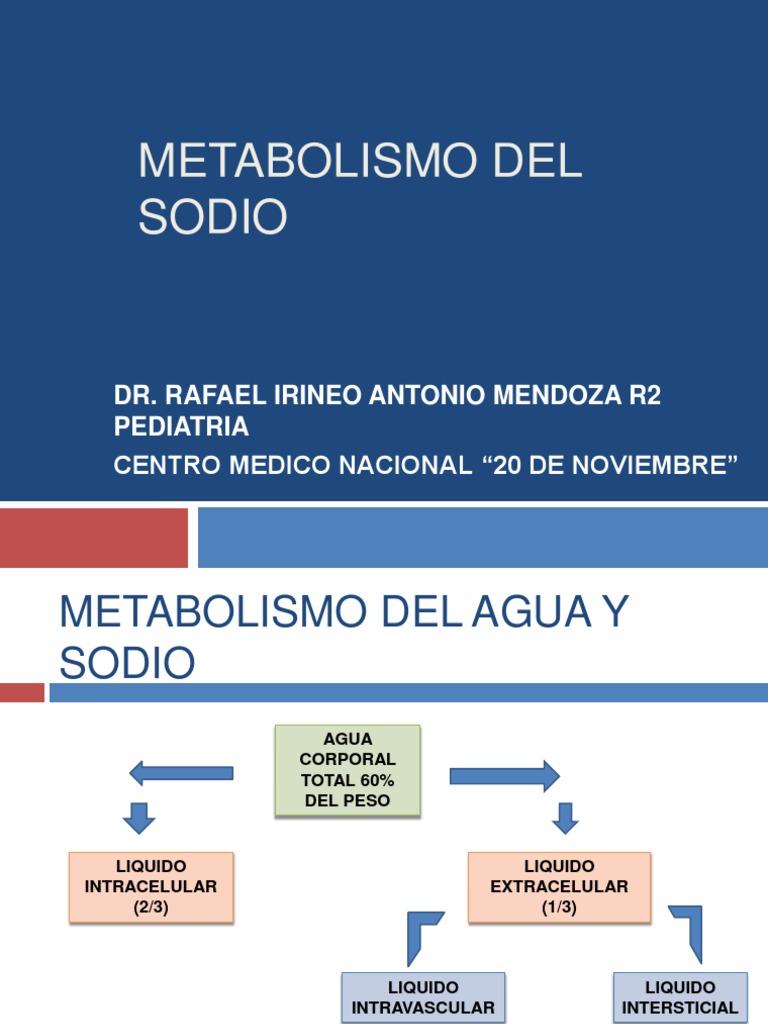 Metabolismo del Sodio en el Cuerpo Humano | PDF | Sodio | Riñón