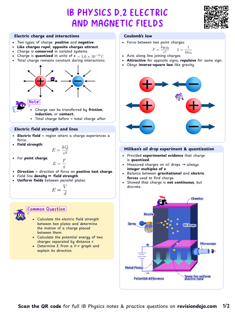 Understanding Electric Charge and Fields | PDF | Magnetic Field ...