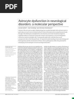 Download Astrocyte Dysfunction in Neurological by tralala SN951111 doc pdf