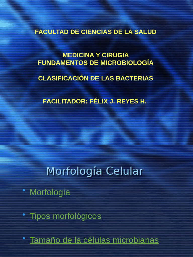 3 Clasificacion, Estructura y Funsion Procariota | PDF | Las bacterias ...