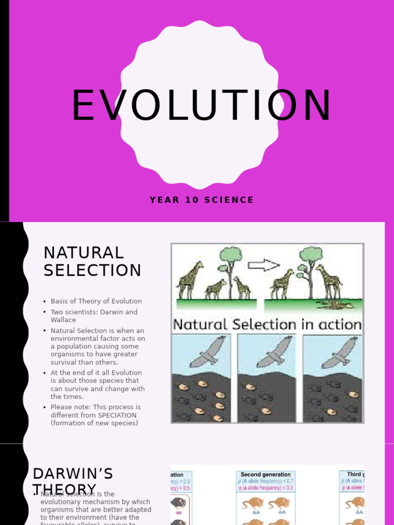 Collation of Evolution 10's | PDF | Natural Selection | Evolution