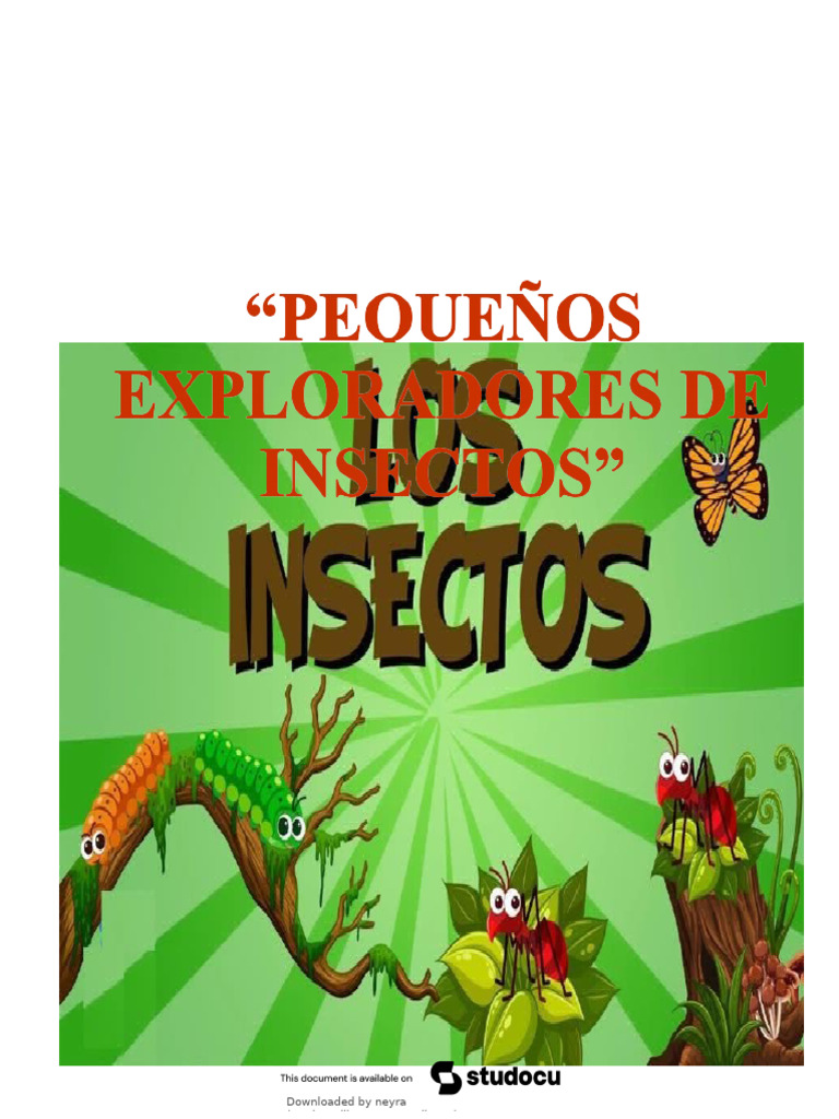 Proyecto Educativo sobre Insectos | PDF | Insectos | Salón de clases