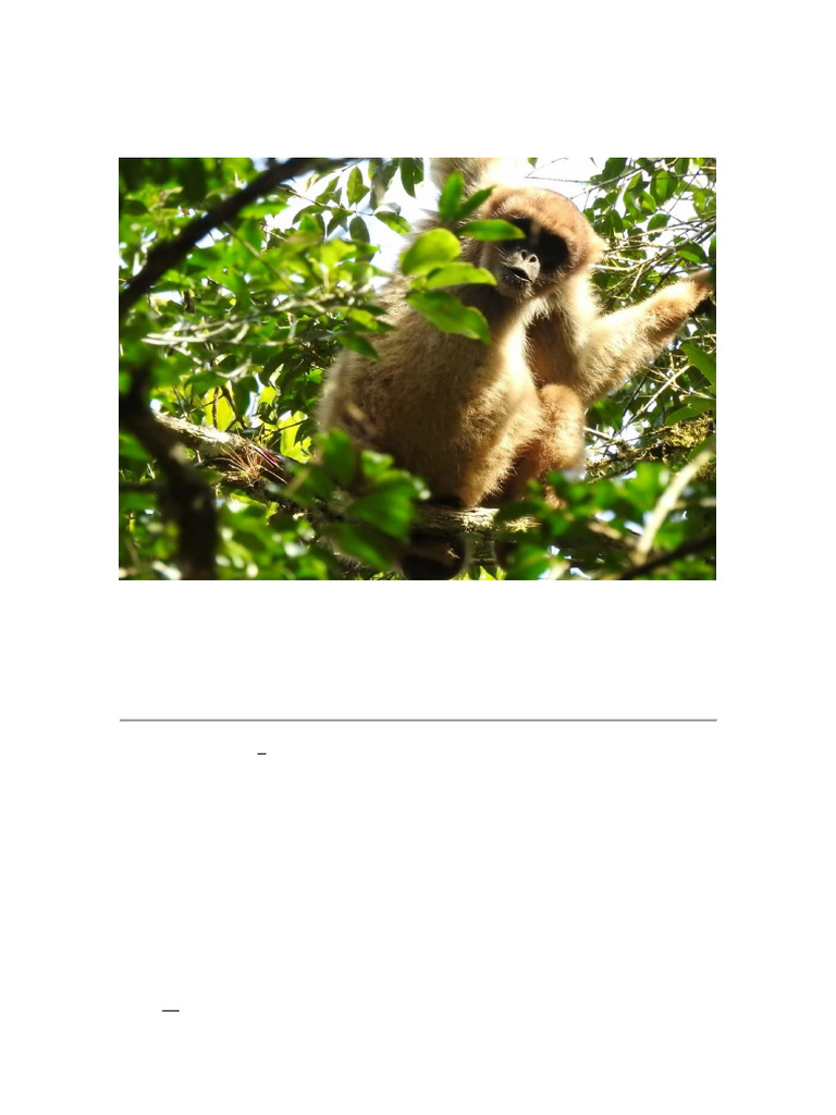 Bioma Mata Atlantica | PDF | Ambiente natural