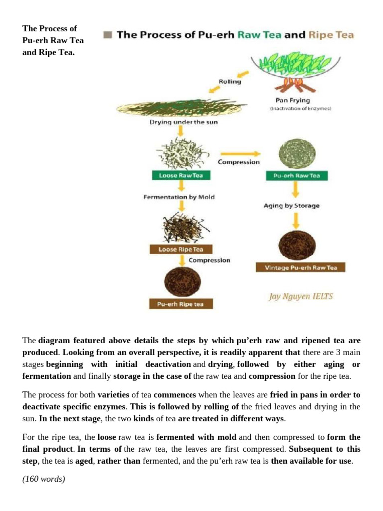Pu-erh Tea Production Process Explained | PDF