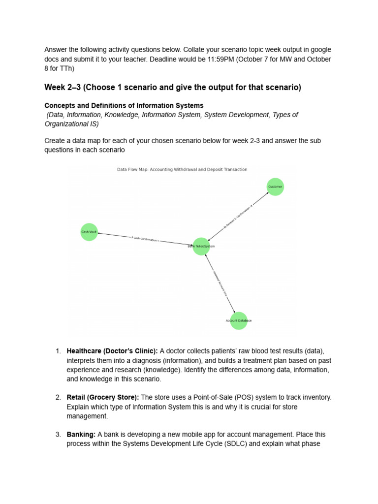 Information Systems Scenario Analysis | PDF | Databases | Computing