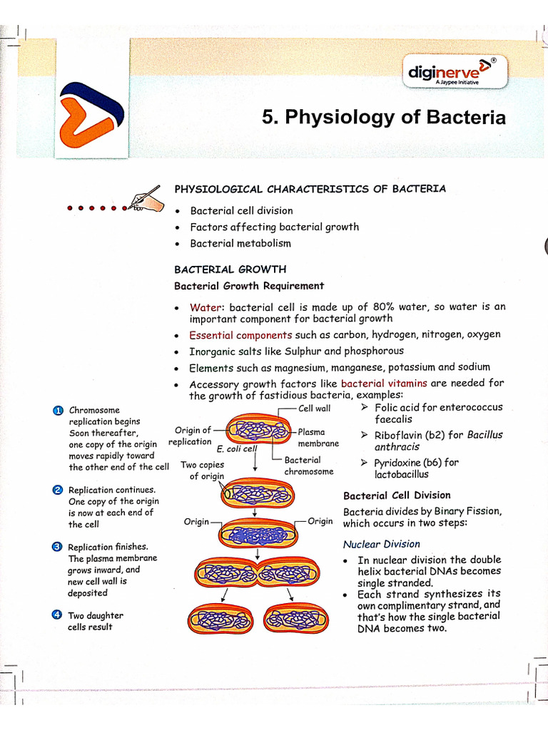 Physiology of Bacteria | PDF
