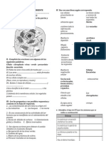 Prueba de Ciencia y Ambiente