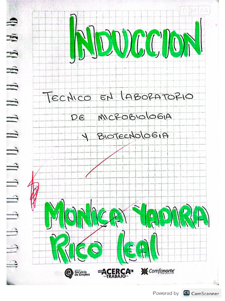 Evidencias Mónica Rico | PDF