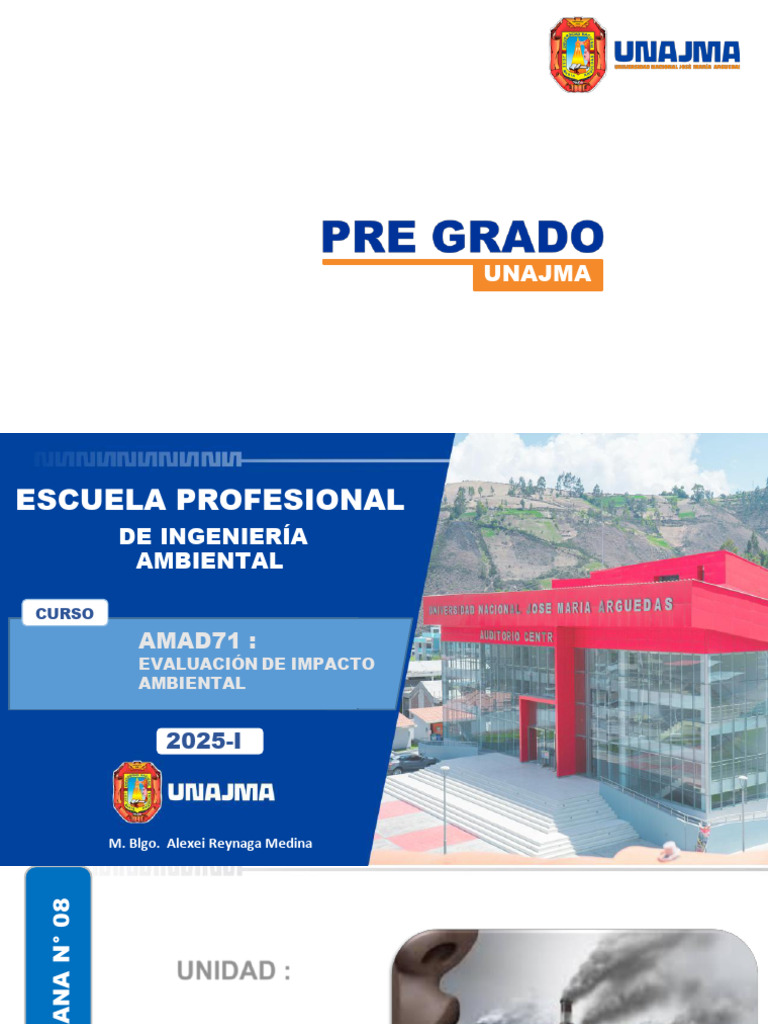 Evaluación de Impacto Ambiental en Perú | PDF | Evaluación de impacto ...