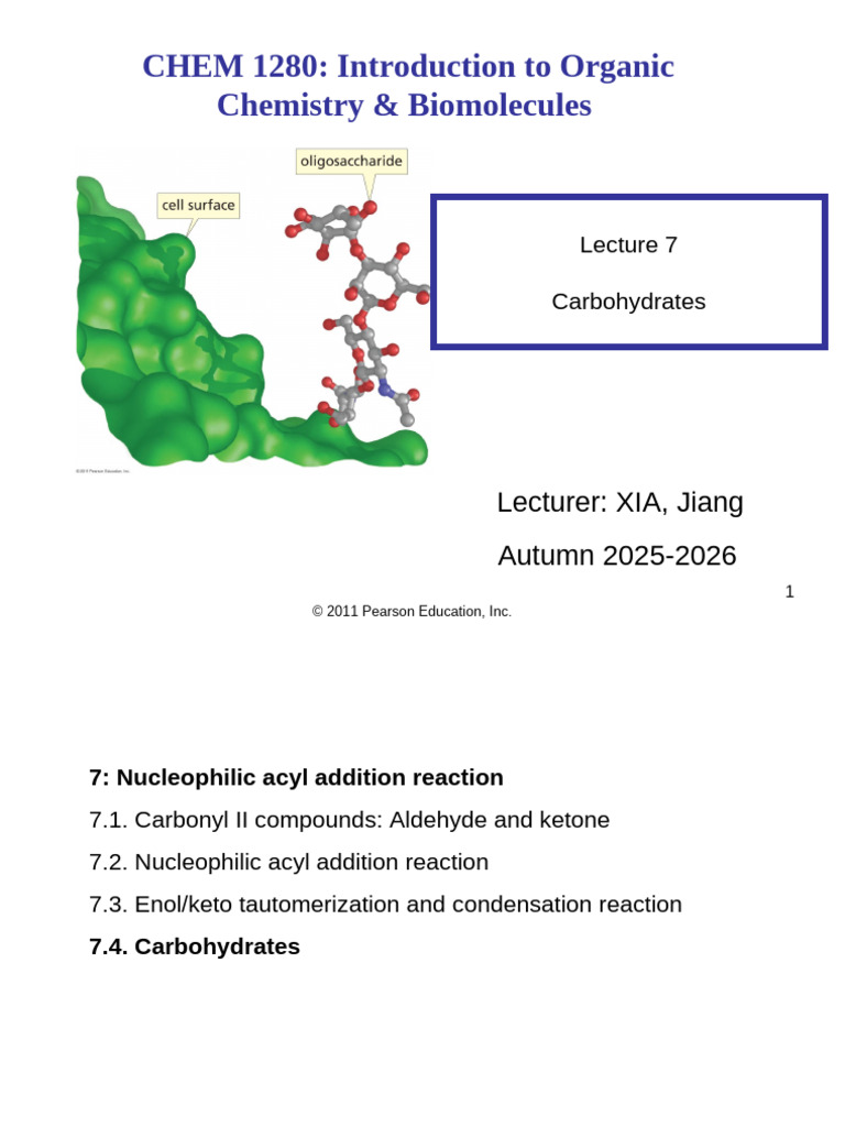 Lecture 7c Carbohydrates | PDF | Carbohydrates | Ketone