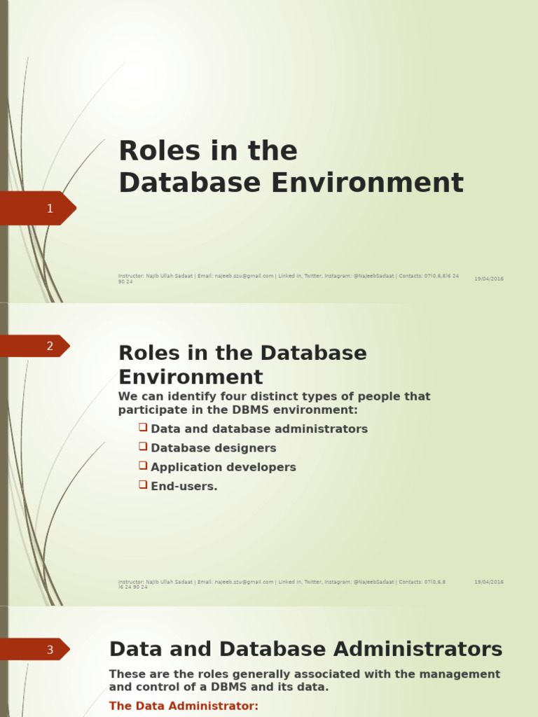03-Roles in the Database Environment | PDF | Databases | Database Design
