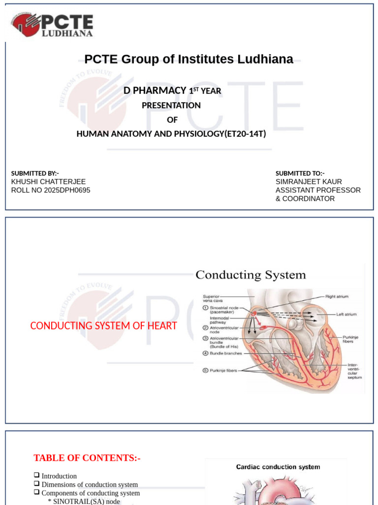 Heart Conducting System Overview | PDF | Atrium (Heart) | Ventricle (Heart)