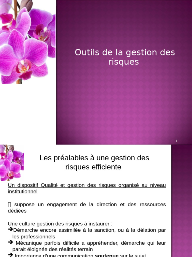 Outils et méthodes de gestion des risques | PDF | Gestion des risques ...