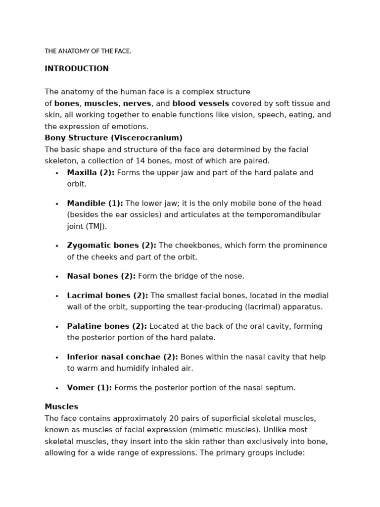 Learning The Anatomy of The Face | PDF | Human Nose | Human Head And Neck