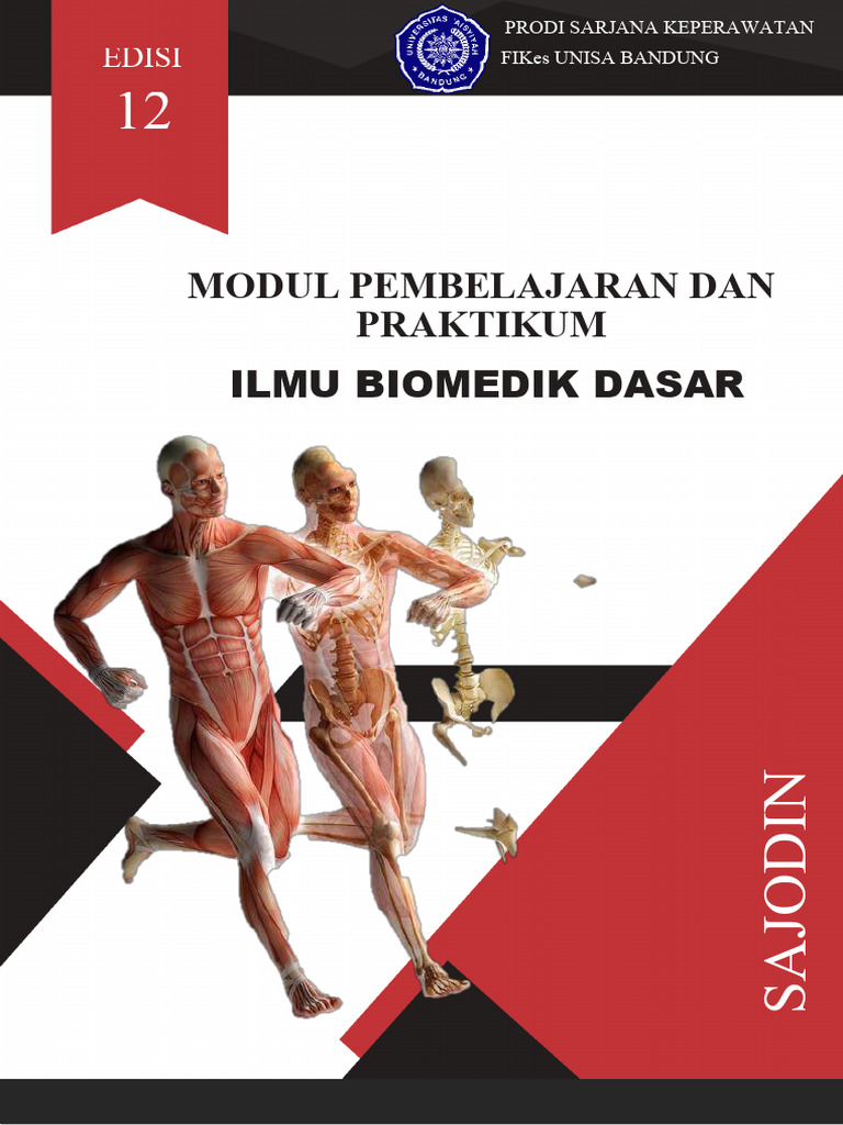Modul IBD 25-26 Fix | PDF