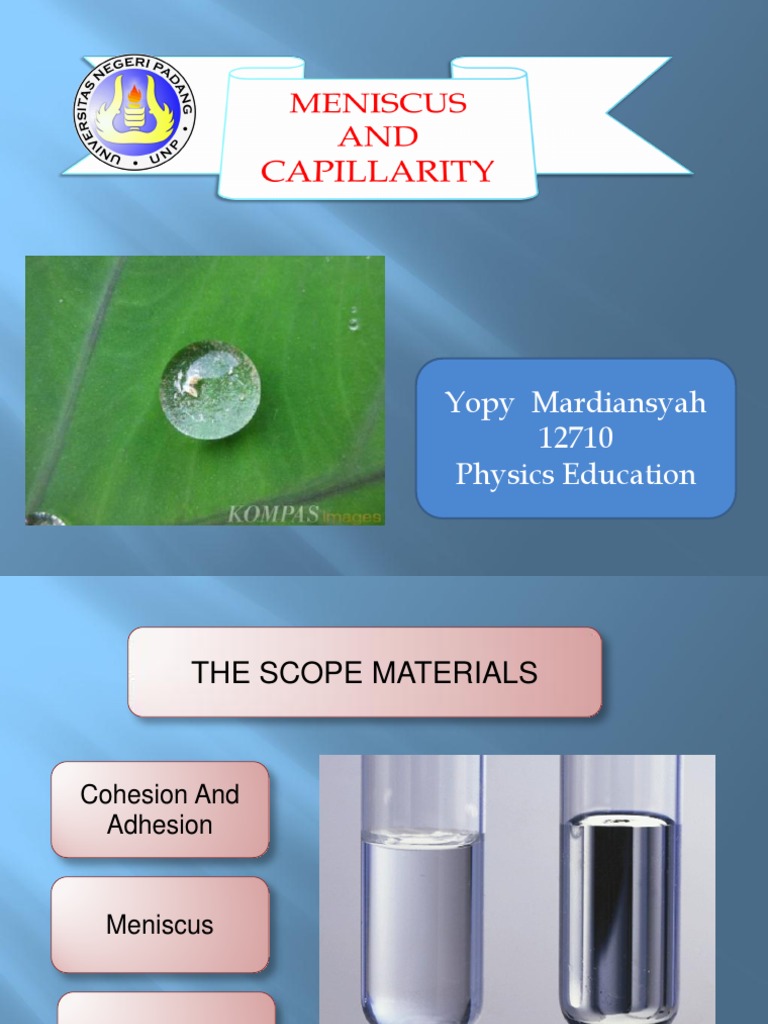 Yopy Mardiansyah 12710 Physics Education | PDF