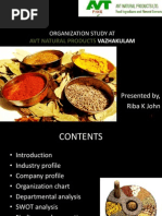 Download AVT Presentation1 by Riba K John SN95128509 doc pdf