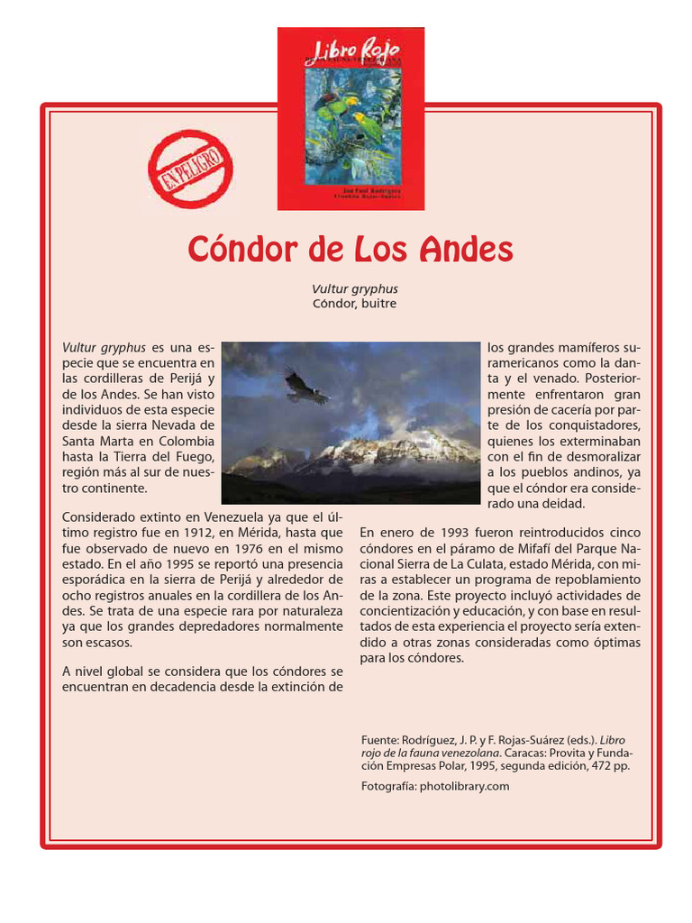 Reintroducción del Cóndor Andino en Venezuela | PDF | Venezuela | Andes