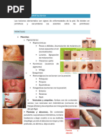 Causas y Tipos de Rash Cutáneo | PDF | Piel | Ciencias de la Salud
