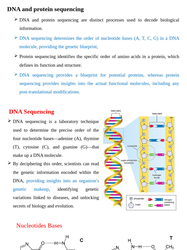 DNA vs Protein Sequencing Explained | PDF | Translation (Biology ...