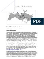 Humphead Wrasse (Cheilinus Undulatus) : Overall Data Summary