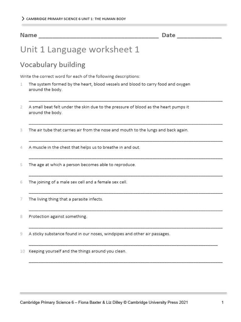 1.1 Language Worksheet | PDF