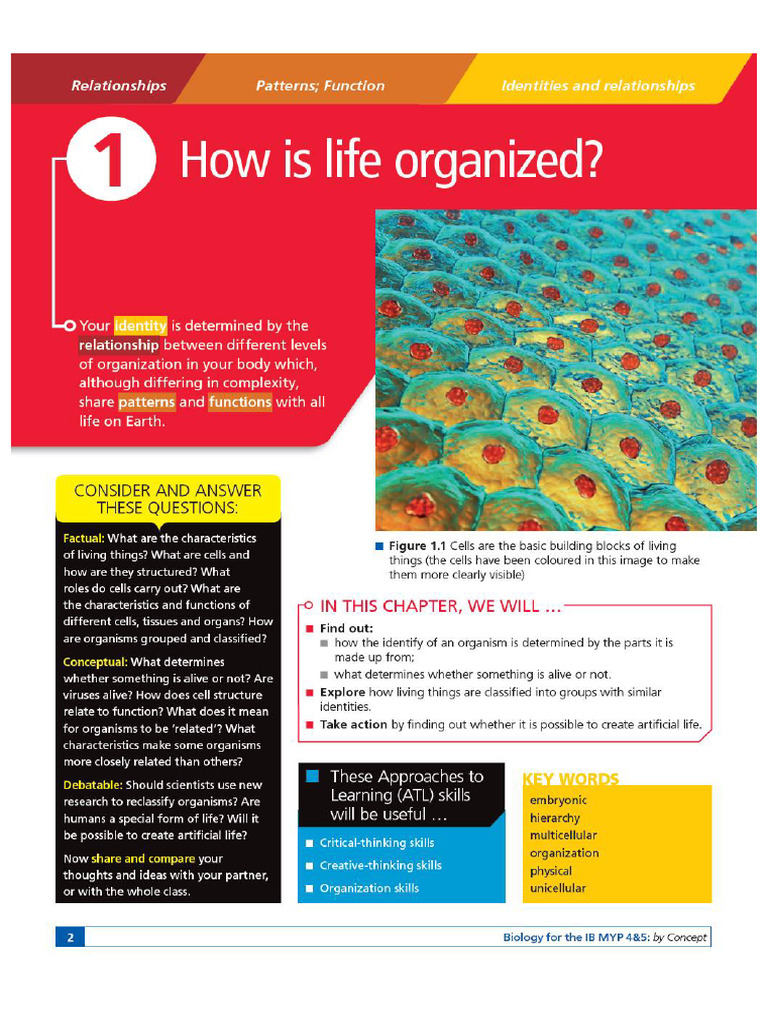 Bio Chapter 1 Cells For Ai | PDF