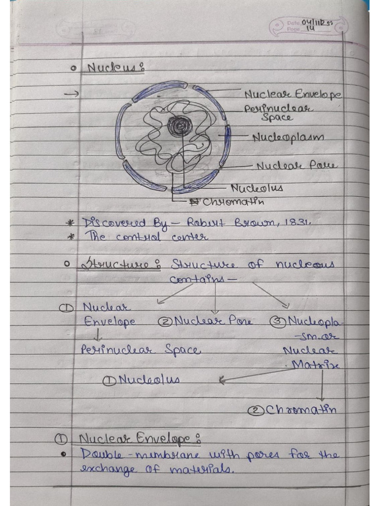HAP - Notes. | PDF