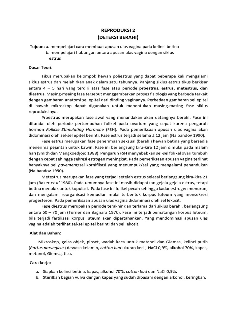 Deteksi Berahi Kelinci Betina Melalui Apusan | PDF