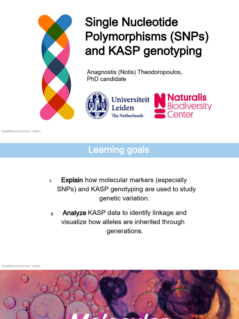 SNPs and KASP Genotyping Overview | PDF | Single Nucleotide ...