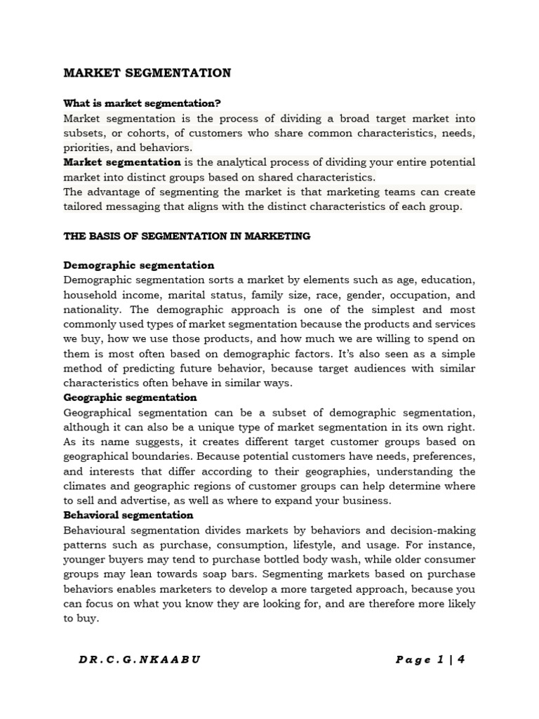 Market Segmentation 2025 | PDF | Market Segmentation | Marketing