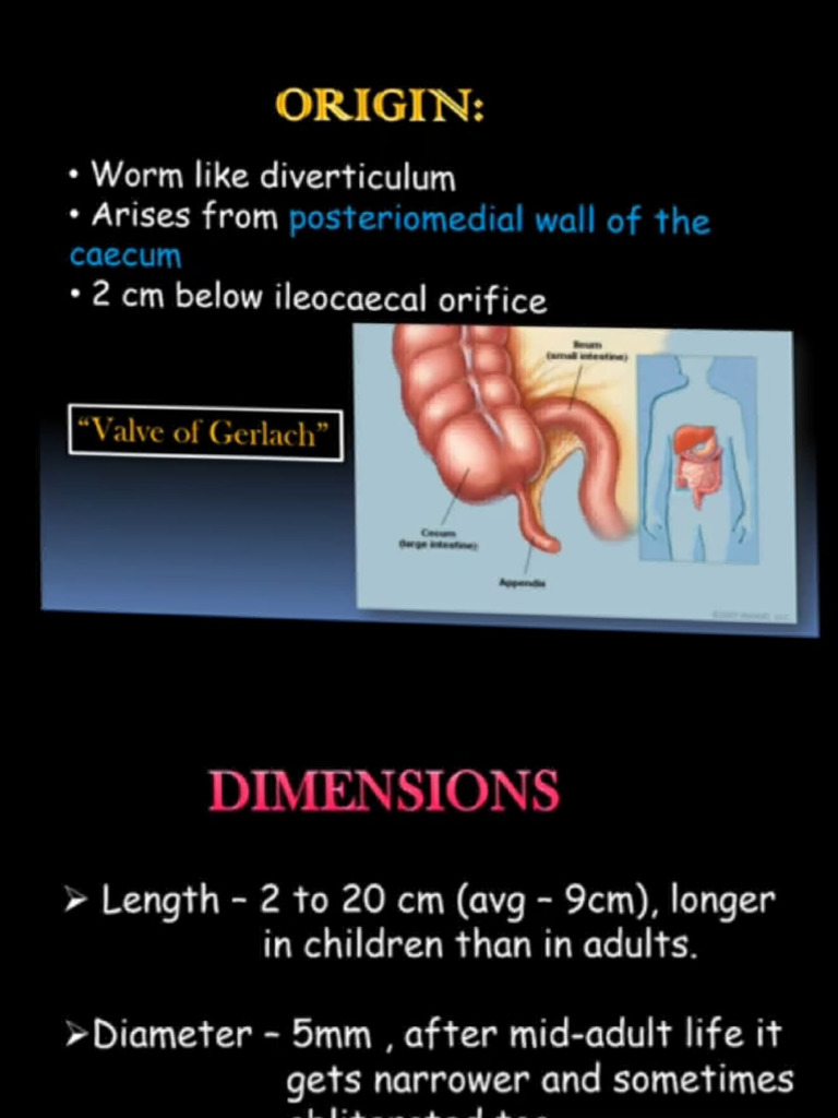 Appendix | PDF