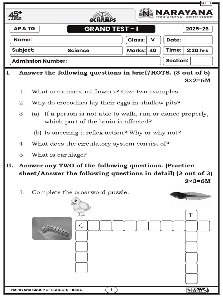 AP & TG SCIENCE GRAND TEST - I GRADE | PDF | Respiratory System | Zoology