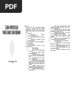 Download Leaflet Cara Menyusui Yang Baik Dan Benar by Bimz Are PRima SN95136303 doc pdf