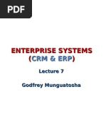 Enterprise Systems (CRM & Erp)