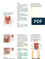 Leaflet Hernia