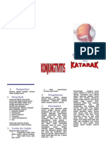Leaflet Katarak