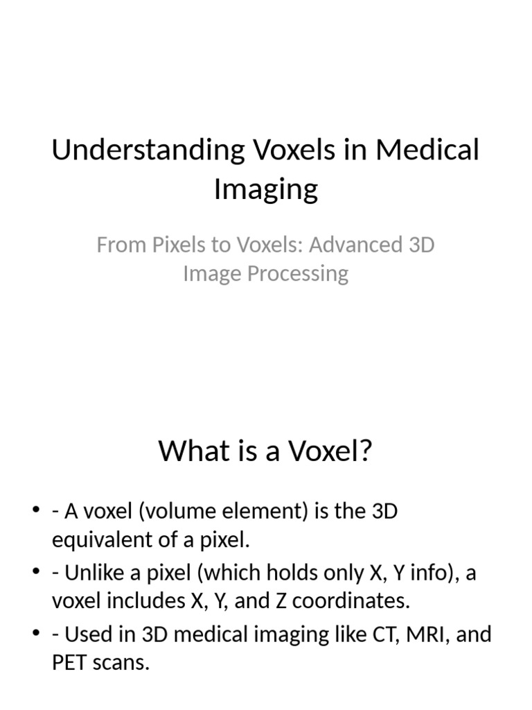 Understanding Voxels Presentation | PDF