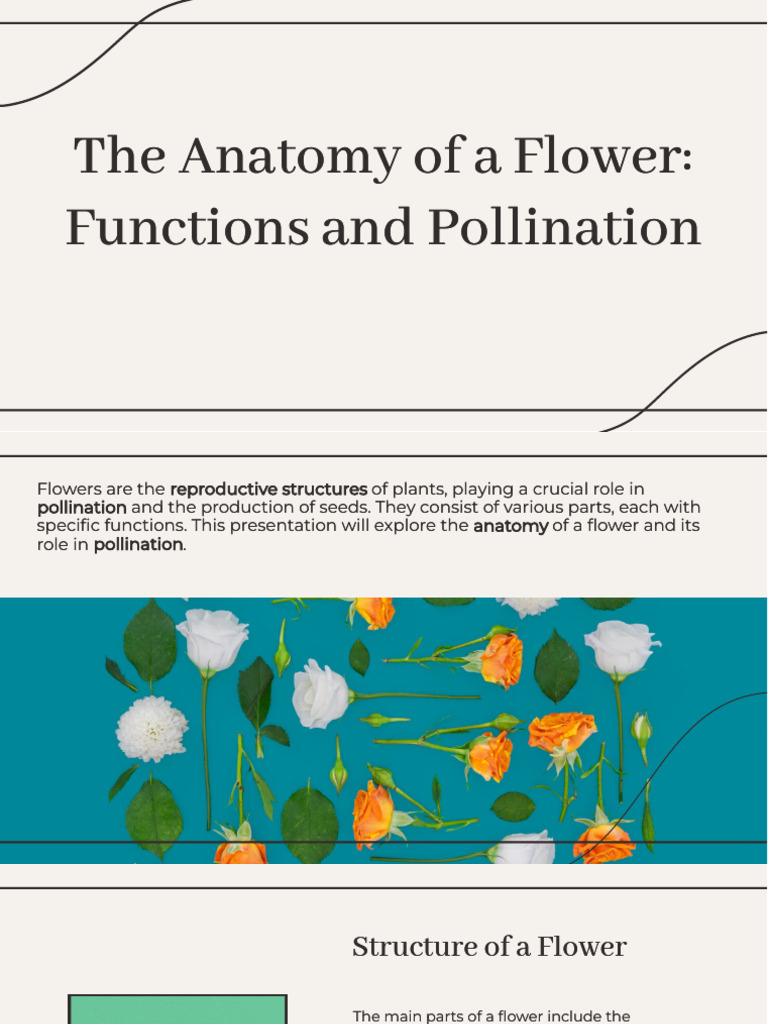 Wepik The Anatomy of A Flower Functions and Pollination ...
