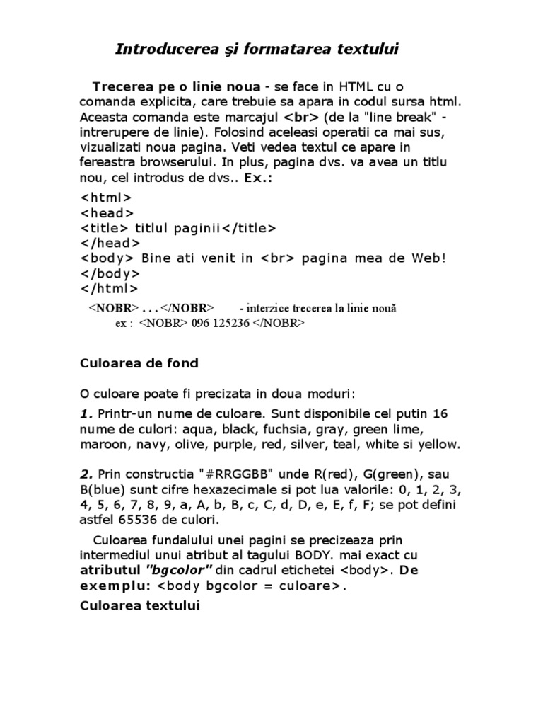 Introducerea Şi Formatarea Textului | PDF