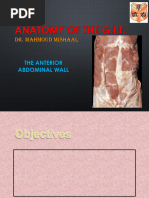 Anatomy of the Anterior Abdominal Wall | PDF | Abdomen | Vein