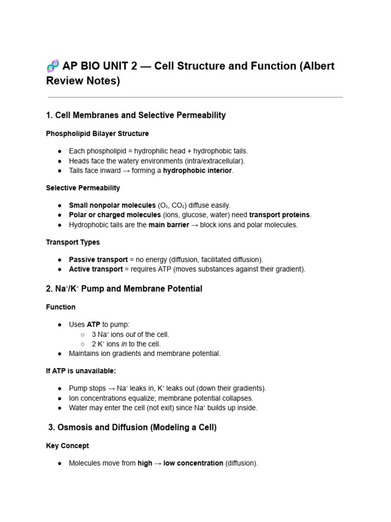 AP BIO Unit 2 Albert Notes | PDF | Cell Membrane | Endoplasmic Reticulum