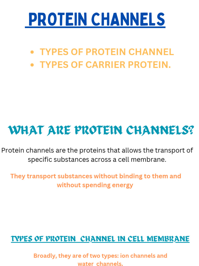 Types of Protein Channels and Carriers | PDF | Ion Channel | Cell Membrane