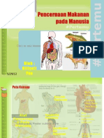 Pert 1 Organ Pencernaan Manusia - Mulut - Kerongkongan - Lambung