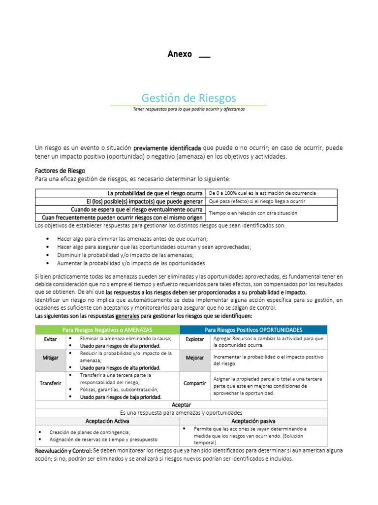 Matriz de Gestión de Riesgos Efectiva | PDF | Riesgo | Probabilidad