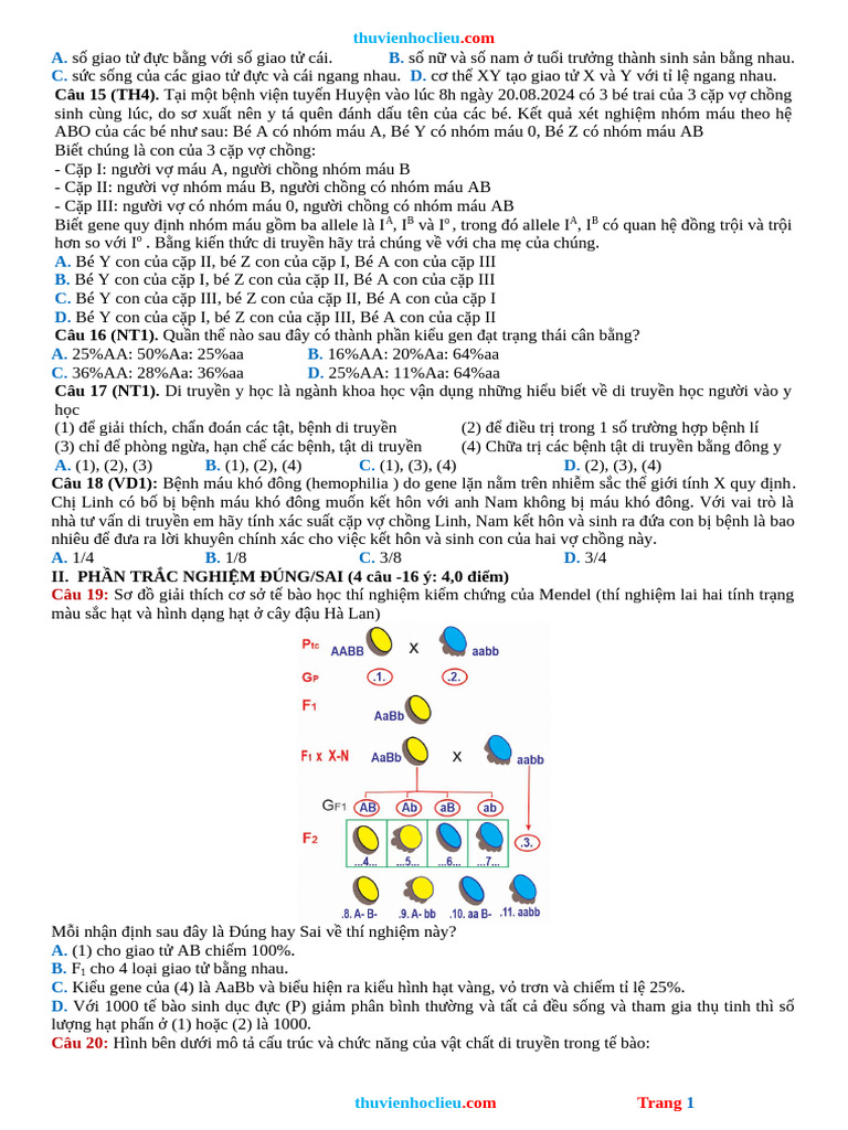 De de On Tap Cuoi HK1 Sinh 12 CTST 25 26 | PDF